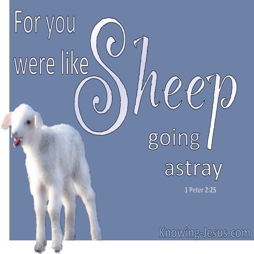 1 Peter 2:25 You Were Like Sheep Going Astray (gray)